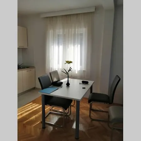 Prekrasan Dvosobni Apartman S Pogledom Na More 4+2 诺维·维诺多尔斯基