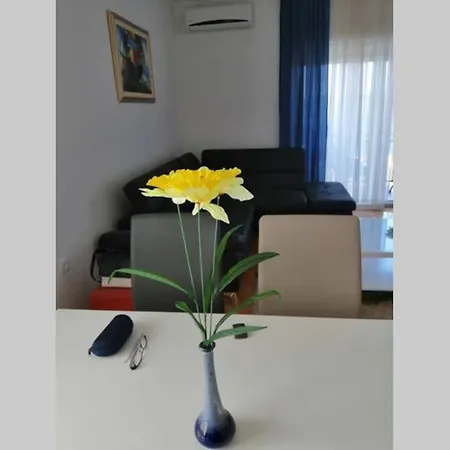 公寓 Prekrasan Dvosobni Apartman S Pogledom Na More 4+2 诺维·维诺多尔斯基